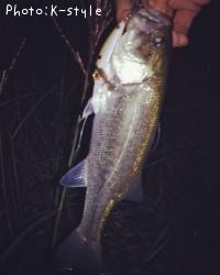 �֥�å��Х�