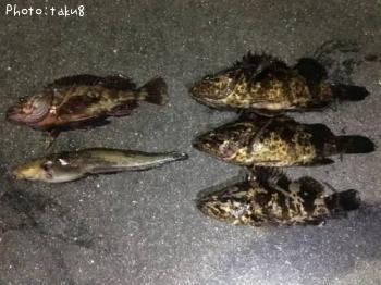 �����Υ���Х�