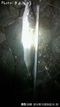 �����Х�