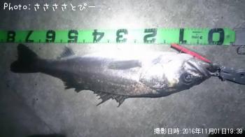 �����Х�