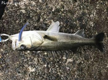 �����Х�