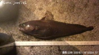 �������������ʥ�