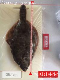 ¥Þ¥³¥¬¥ì¥¤