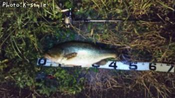 �֥�å��Х�