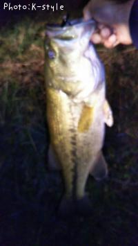 �֥�å��Х�