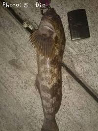 �����ʥ�