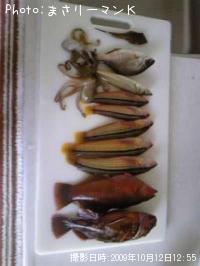 ���������٥顢��������