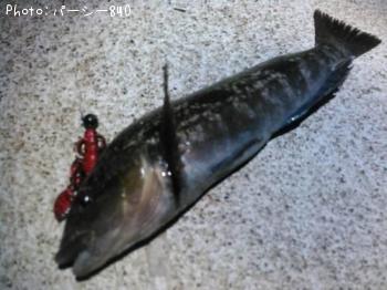 �����ʥ�