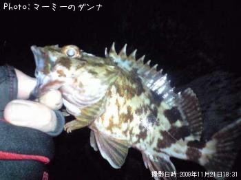 �����Υ���Х�