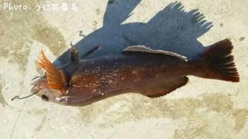 �����ʥ�