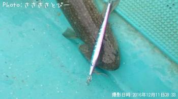 ���Хե����������ۥ��ܥ�