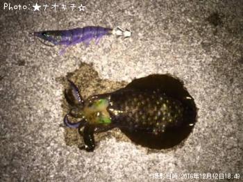 ¥¢¥ª¥ê¥¤¥«