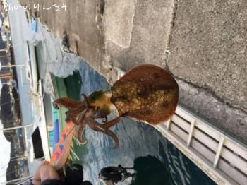 �����ꥤ��