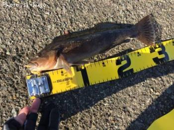 �����ʥ�