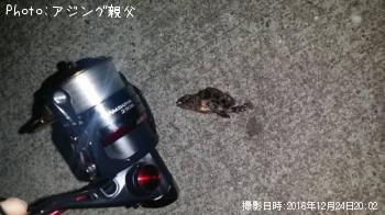 ¥á¥Ð¥ë¡¢¥«¥µ¥´