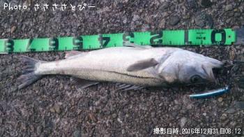 �����Х����٥���