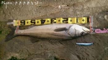 �����Х����٥���