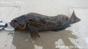 �����ʥ�