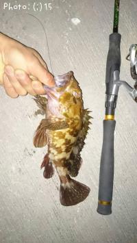 ¥«¥µ¥´¡¢¥½¥¤