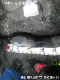 �����᥸��