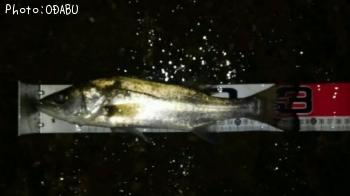 �����Х�