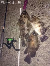 ¥à¥é¥½¥¤¡¢¥á¥Ð¥ë