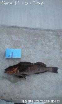 �����ʥ�