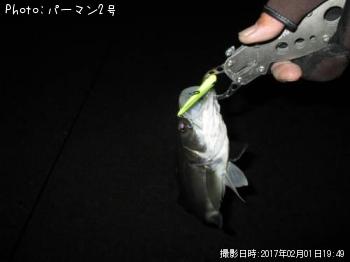 �����Х�