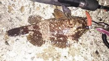 �����Υ���Х�