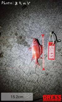 ¥¢¥«¥¤¥æ¡Ú¥¢¥ä¥á¥¨¥Ó¥¹¡Û