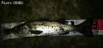 �����Х�