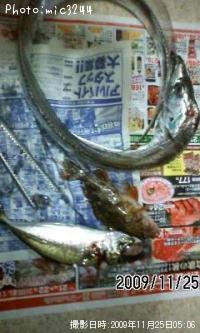 ¥¢¥¸¡¡¥¿¥Á¥¦¥ª