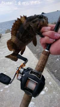 ¥½¥¤¥½¥¤¡ª