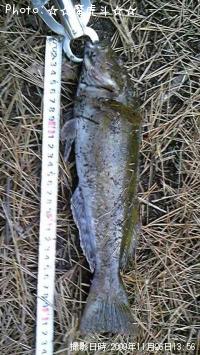 �����ʥ�