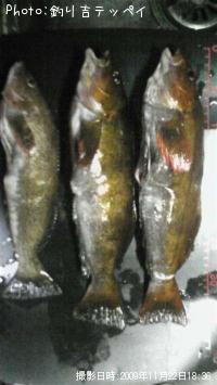 �����ʥ�