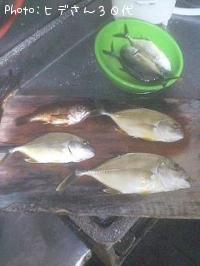 ¥á¥Ã¥¡¦¥á¥Ð¥ë