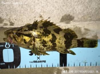 ¥¿¥±¥Î¥³¥á¥Ð¥ë