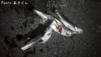 �����Х�