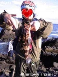 ¥Ù¥Ã¥³¥¦¥¾¥¤