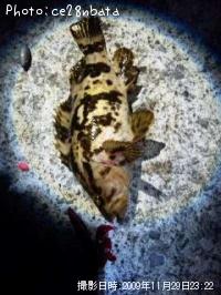 �����Υ���Х�