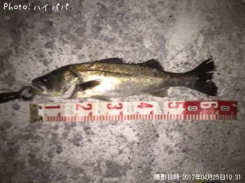 �����Х�