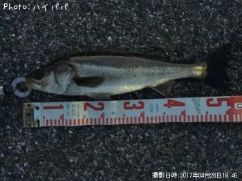 �����Х�