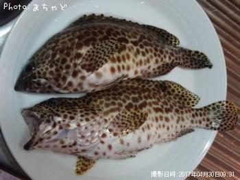 �����ߡ��Х��ڥ�����ϥ���