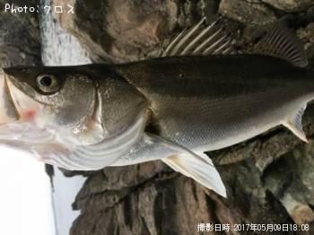 �����Х�