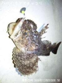 ¥±¥à¥·¥«¥¸¥«