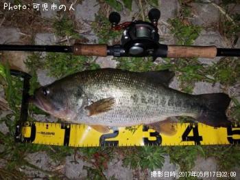 �֥�å��Х�