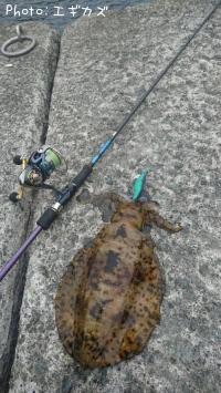 ¥¢¥ª¥ê¥¤¥«