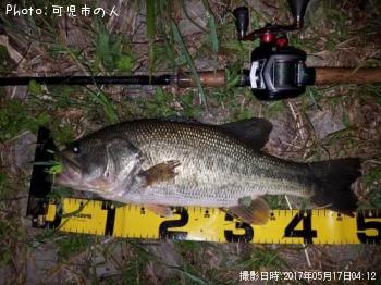 �֥�å��Х�