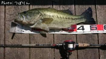 ¥Ö¥é¥Ã¥¯¥Ð¥¹