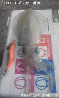 ¥¢¥ª¥ê¥¤¥«